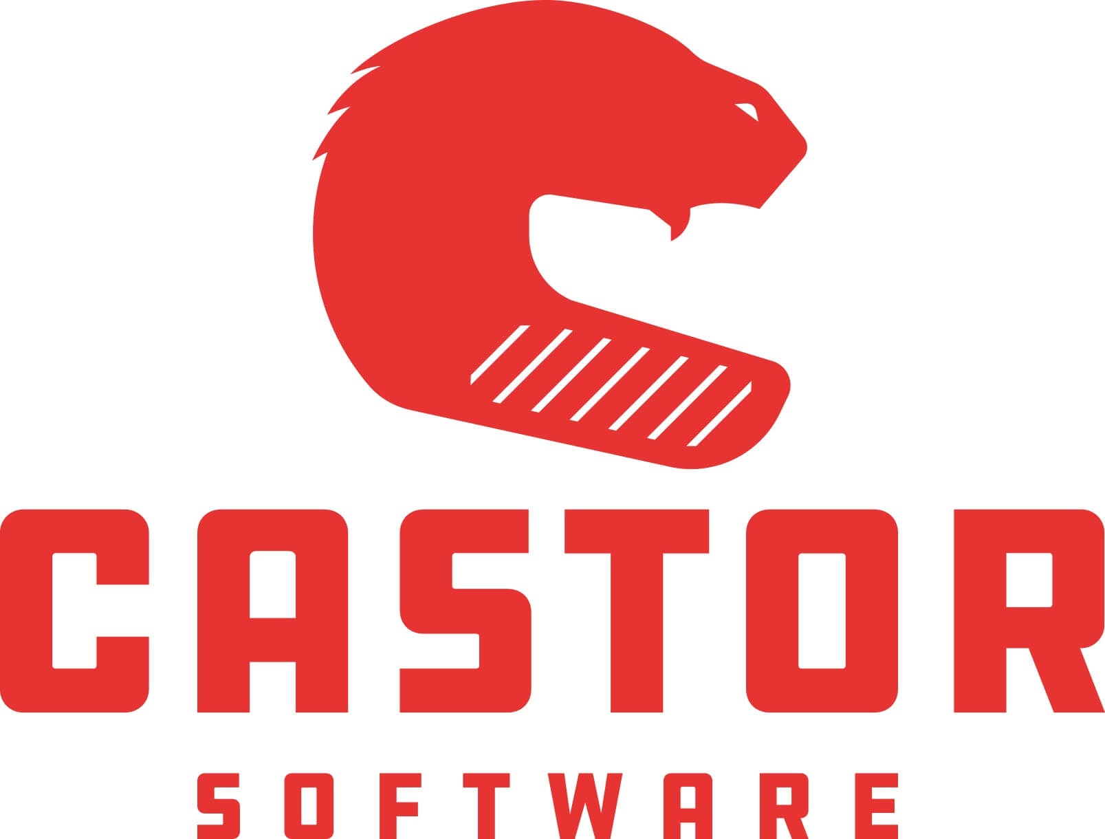 Castor Software